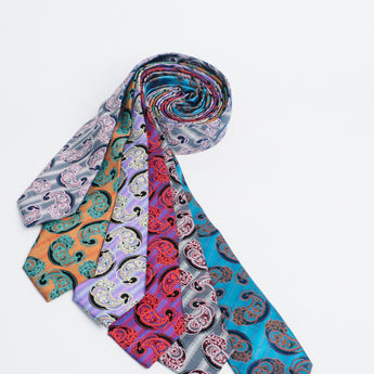 Steven Land | 100% Silk | Palme Paisley Tie & Pocket Square