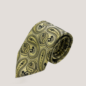 Paisley Panache Tie & Pocket Square 100% Silk for Men